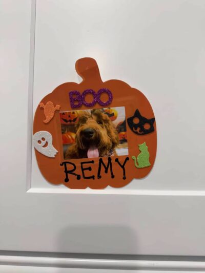 K9 Resorts Luxury Pet Hotel Syosset - Syosset, NY