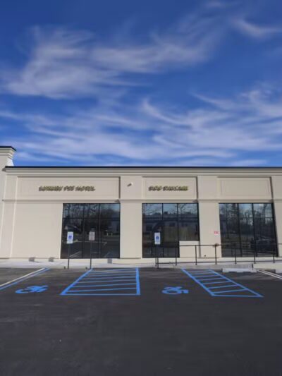 K9 Resorts Luxury Pet Hotel Syosset - Syosset, NY