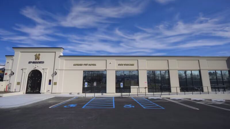 K9 Resorts Luxury Pet Hotel Syosset - Syosset, NY