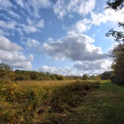 Muttontown Preserve Equestrian Center - Syosset, NY