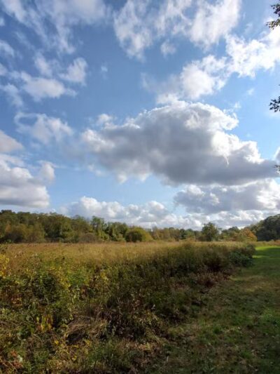 Muttontown Preserve Equestrian Center - Syosset, NY