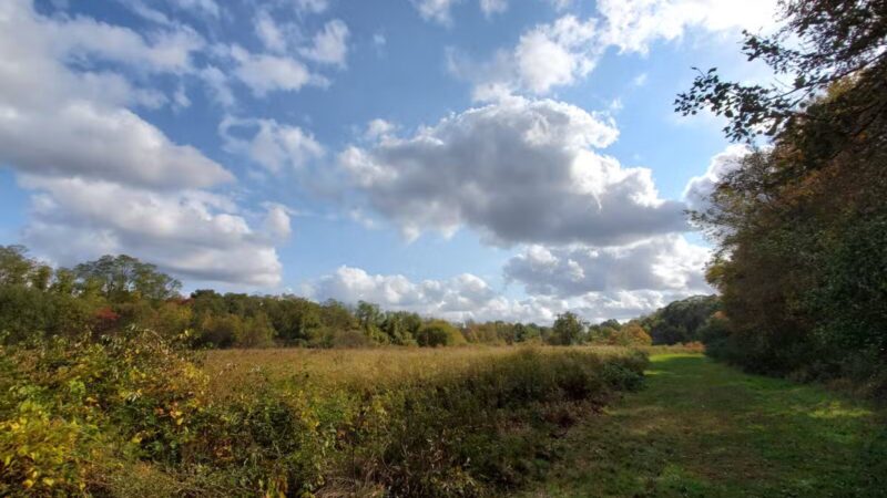 Muttontown Preserve Equestrian Center - Syosset, NY