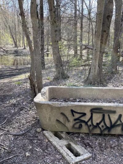 Muttontown Preserve Equestrian Center - Syosset, NY