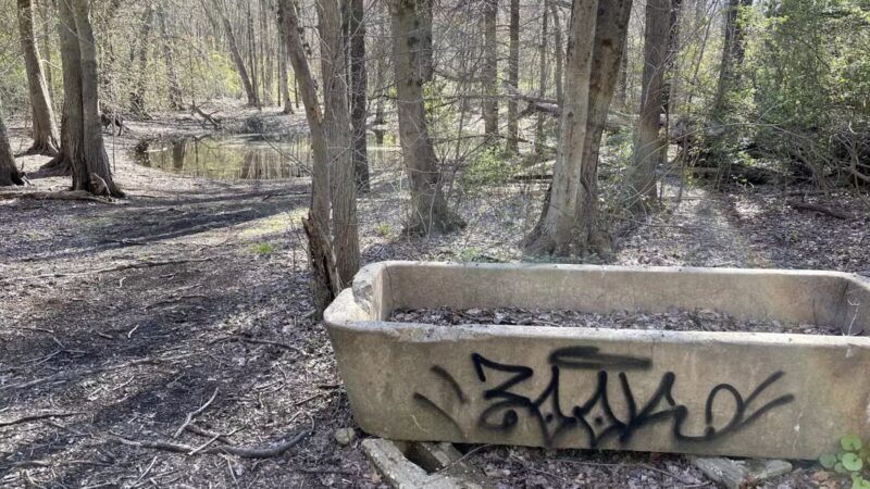 Muttontown Preserve Equestrian Center - Syosset, NY