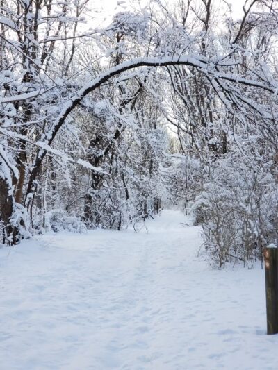 Muttontown Preserve Equestrian Center - Syosset, NY