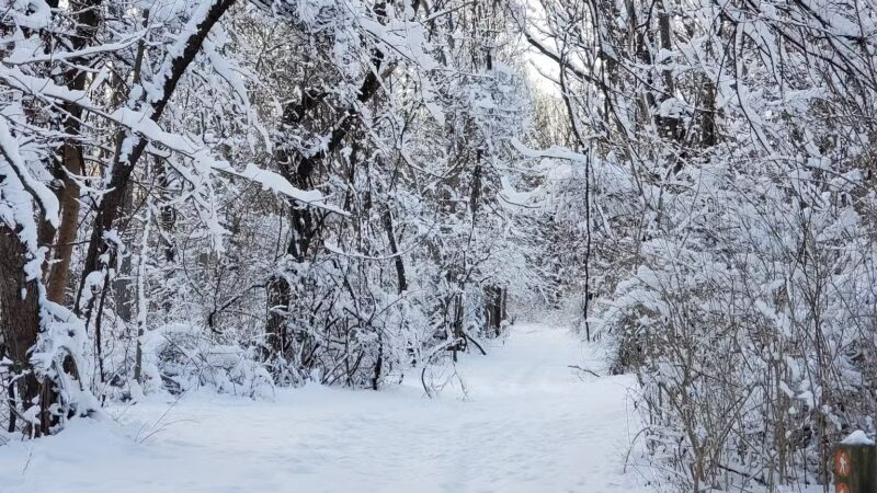 Muttontown Preserve Equestrian Center - Syosset, NY