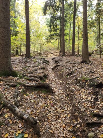 Muttontown Preserve Equestrian Center - Syosset, NY