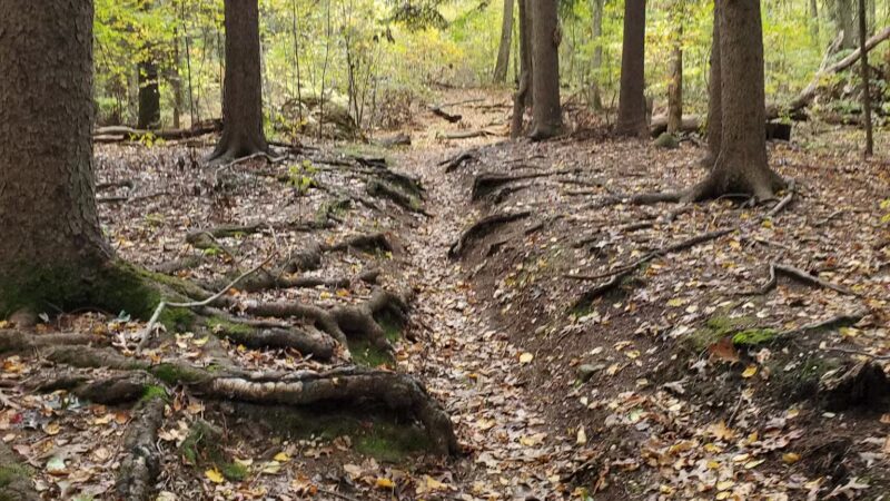 Muttontown Preserve Equestrian Center - Syosset, NY