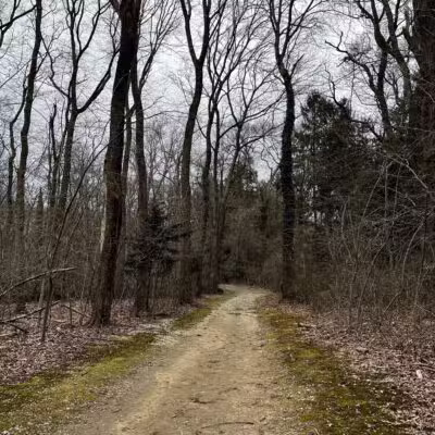 Muttontown Preserve Equestrian Center - Syosset, NY
