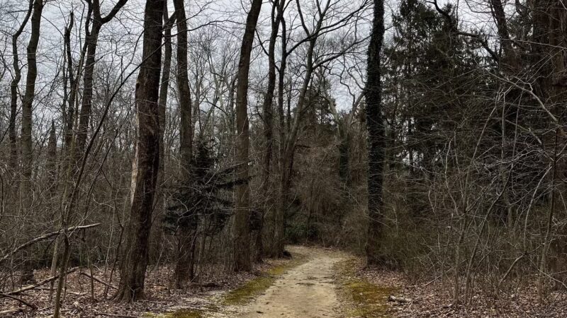 Muttontown Preserve Equestrian Center - Syosset, NY