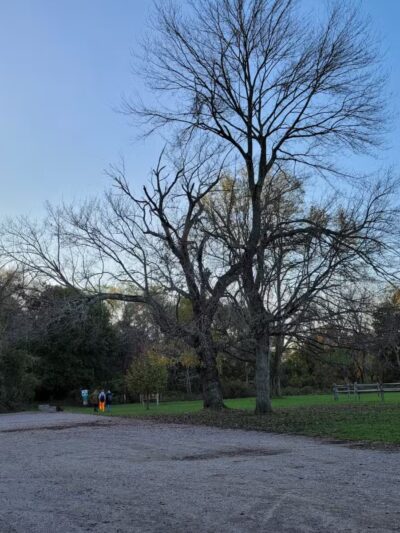 Muttontown Preserve Equestrian Center - Syosset, NY