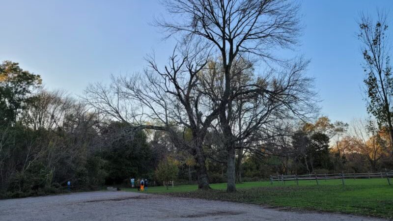 Muttontown Preserve Equestrian Center - Syosset, NY