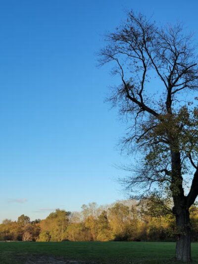 Muttontown Preserve Equestrian Center - Syosset, NY