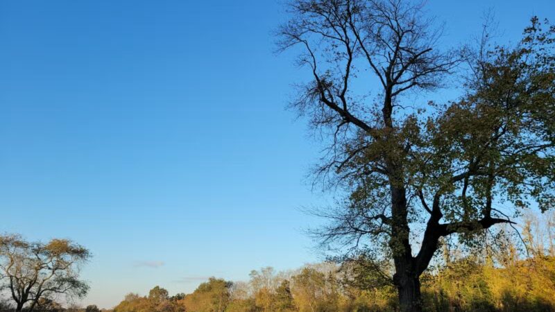 Muttontown Preserve Equestrian Center - Syosset, NY