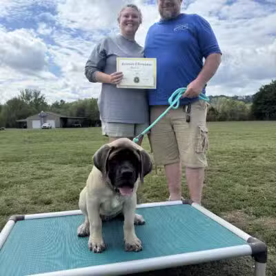 Tennessee Valley K9 - Taft, TN
