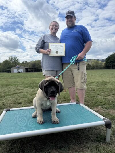 Tennessee Valley K9 - Taft, TN