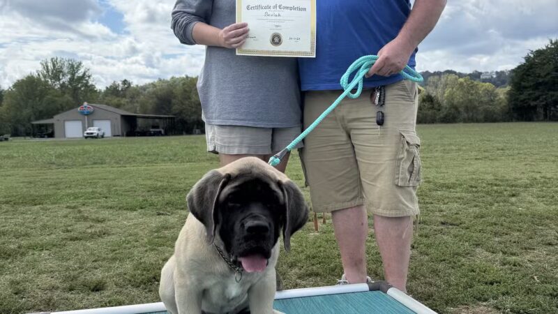 Tennessee Valley K9 - Taft, TN