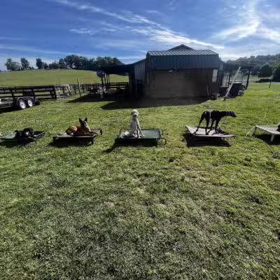 Tennessee Valley K9 - Taft, TN