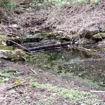 Ammann Park - Teaneck, NJ