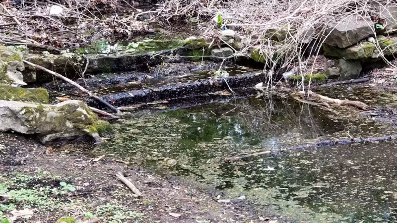 Ammann Park - Teaneck, NJ