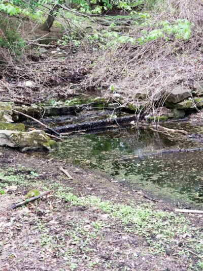 Ammann Park - Teaneck, NJ