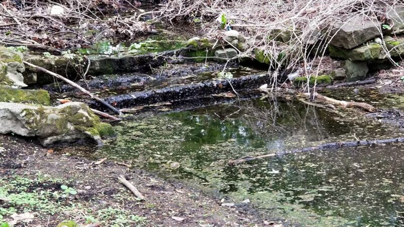 Ammann Park - Teaneck, NJ