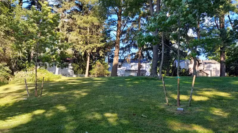 Andreas Park - Teaneck, NJ