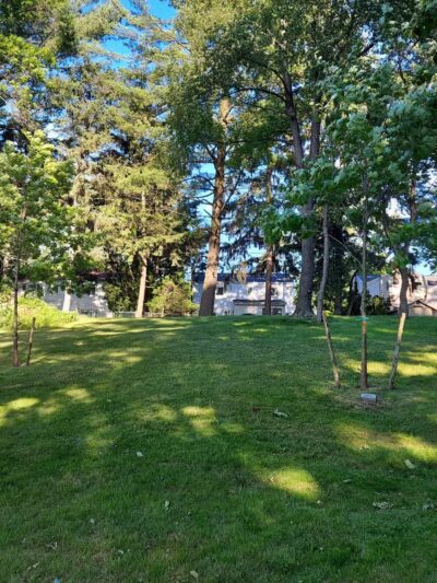 Andreas Park - Teaneck, NJ