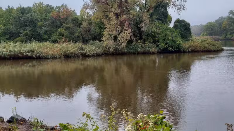 Andreas Park - Teaneck, NJ