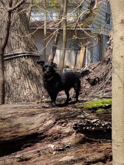 Argonne Park - Teaneck, NJ