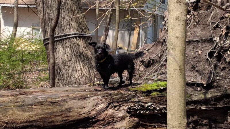 Argonne Park - Teaneck, NJ