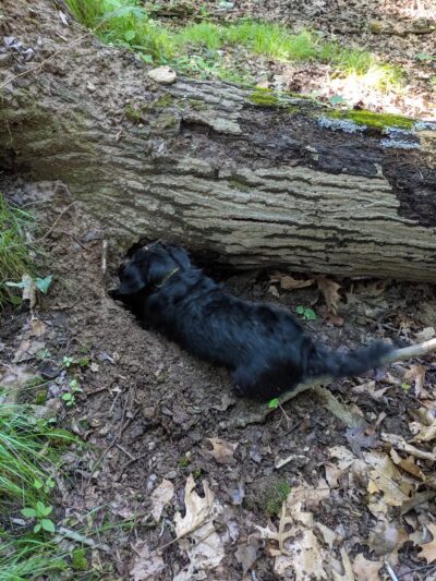 Argonne Park - Teaneck, NJ