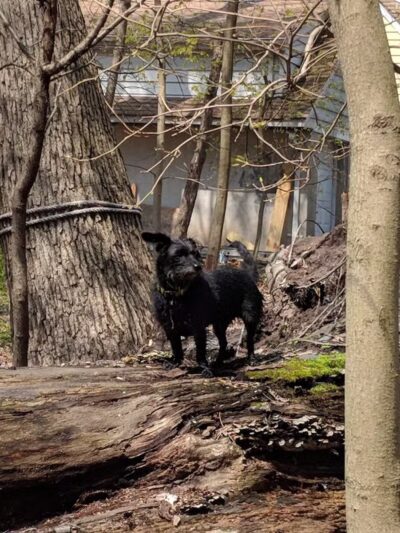 Argonne Park - Teaneck, NJ