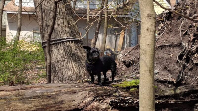 Argonne Park - Teaneck, NJ