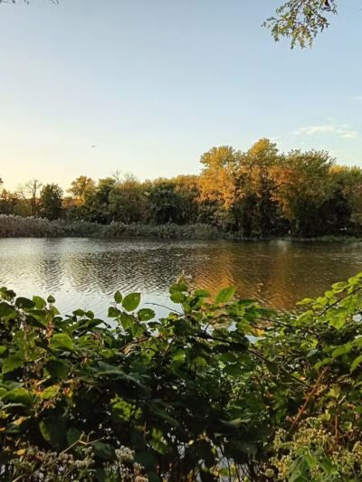 Clarence W Brett Park at Historic New Bridge Landing - Teaneck, NJ