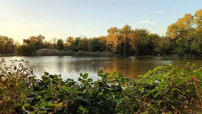 Clarence W Brett Park at Historic New Bridge Landing - Teaneck, NJ