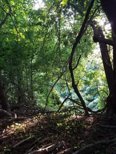 Clarence W Brett Park at Historic New Bridge Landing - Teaneck, NJ