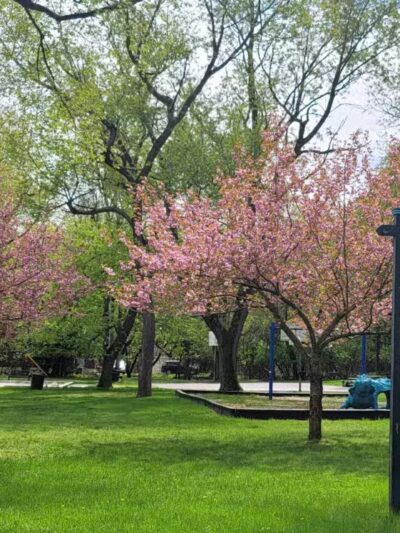Coolidge Park - Teaneck, NJ