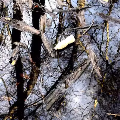 Old Croaker County Park - Teaneck, NJ