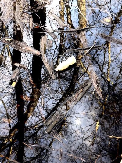 Old Croaker County Park - Teaneck, NJ