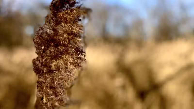 Old Croaker County Park - Teaneck, NJ