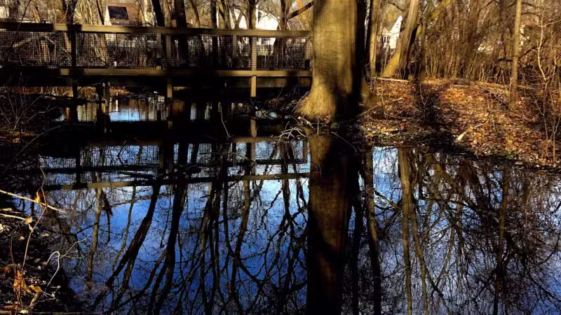 Old Croaker County Park - Teaneck, NJ