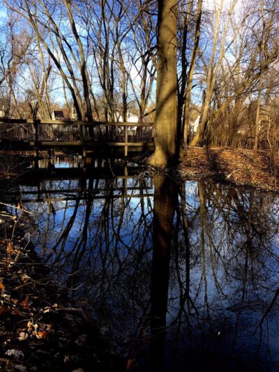 Old Croaker County Park - Teaneck, NJ