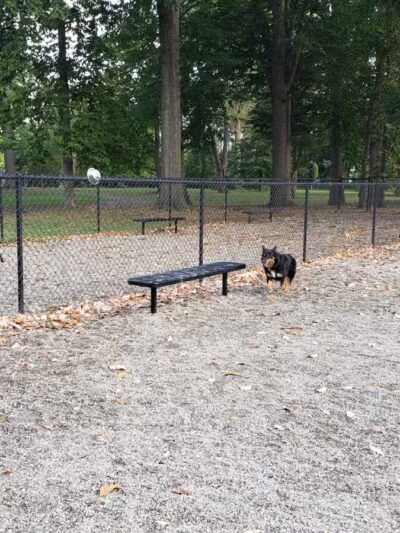 Phelps Park - Teaneck, NJ