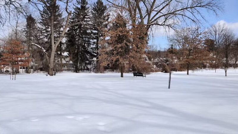 Phelps Park - Teaneck, NJ