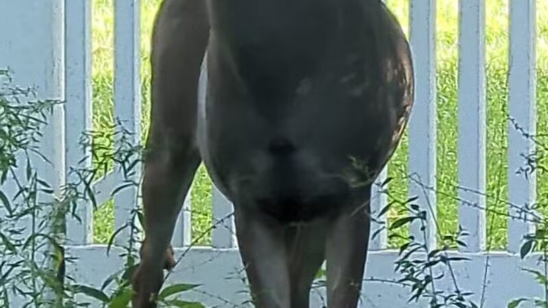 Phelps Park - Teaneck, NJ