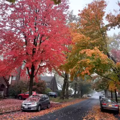 Sagamore Park - Teaneck, NJ