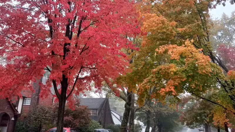 Sagamore Park - Teaneck, NJ