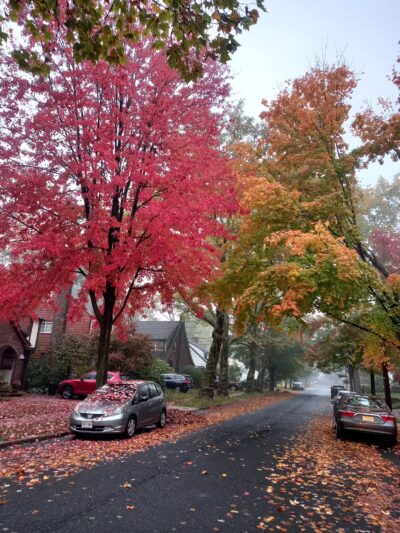 Sagamore Park - Teaneck, NJ