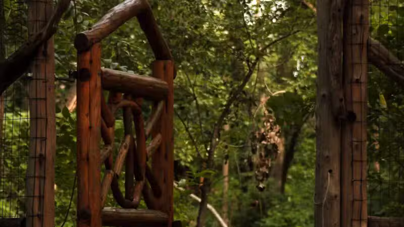 Teaneck Creek Conservancy - Teaneck, NJ